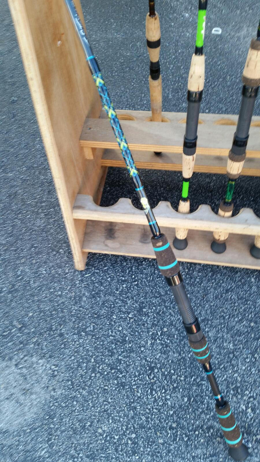 Dolphin in the Ocean 4